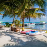 Palms and beach at Caye Caulker island, Belize